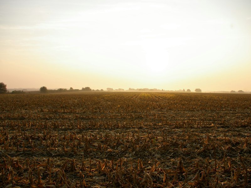 Agricultural Land near Dadri Road